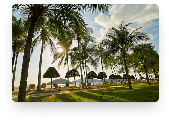 Beautiful travel destination with palm trees